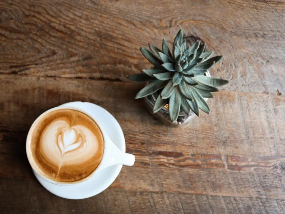 Tasse de café sur une table en bois, lumière du matin